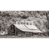 Old run-down barn - b|w 